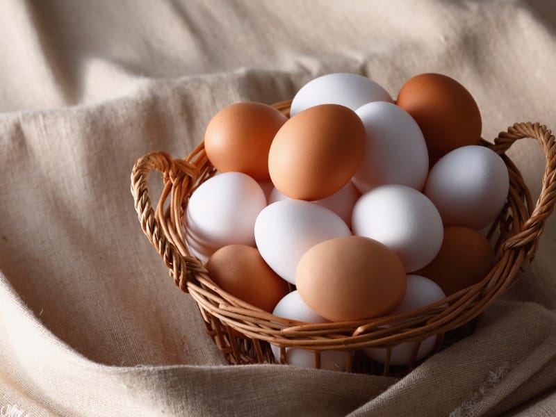 Tái ăn sau fasting (Refeeding)